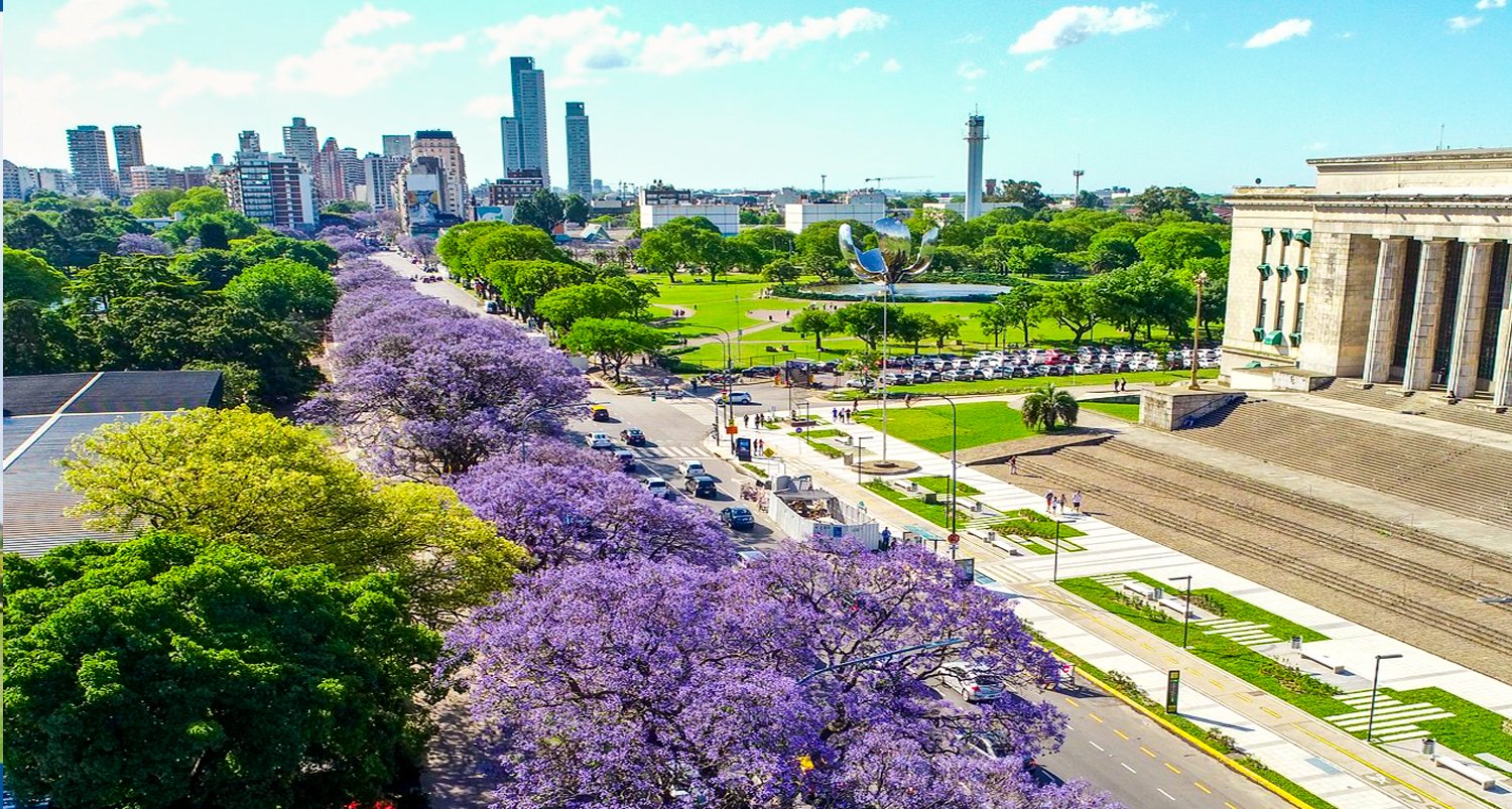 Avenida del Libertador con jacarandás en flor SUGERENCIA.jpg