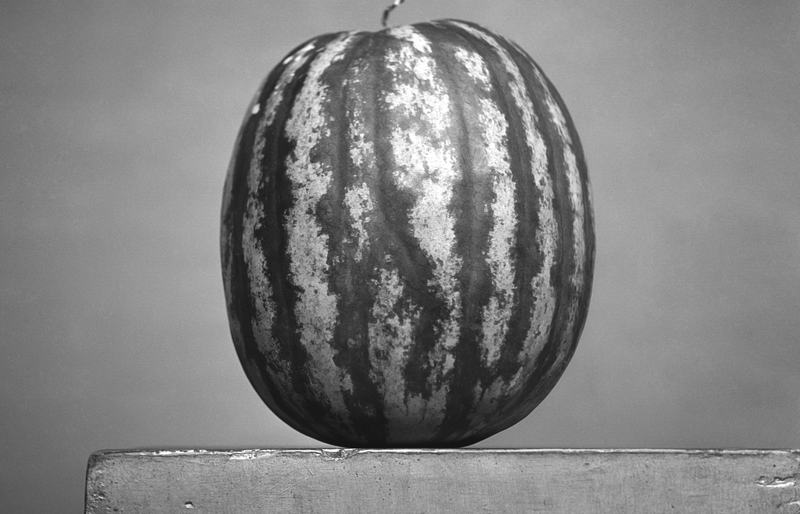 Monochrome_Resistance_0155mo36765_cropped-Watermelon-small_s
