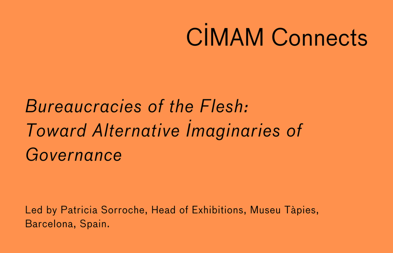 Patricia Sorroche connects