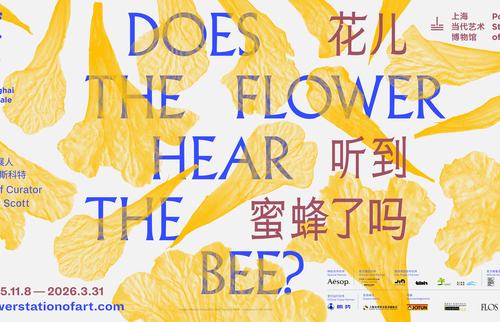 Poster of the 15th SHB (1)