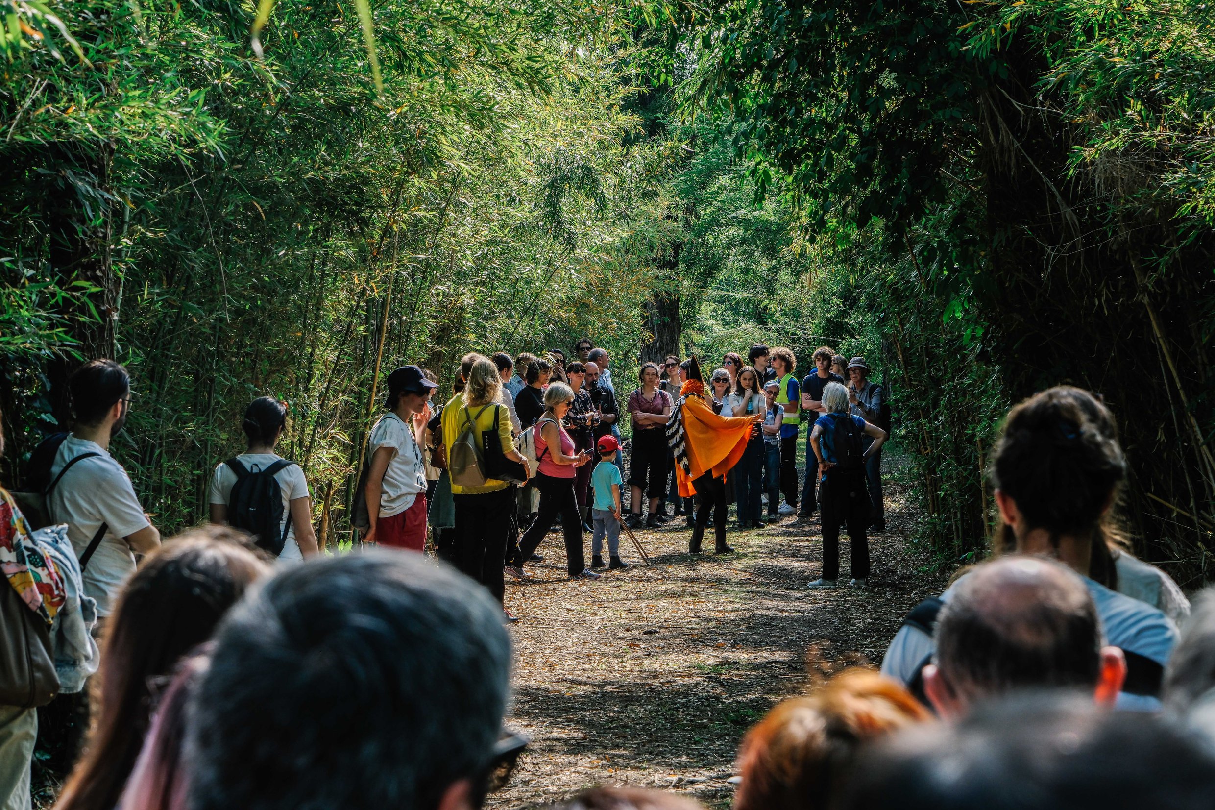 Thinking like a Mountain 1