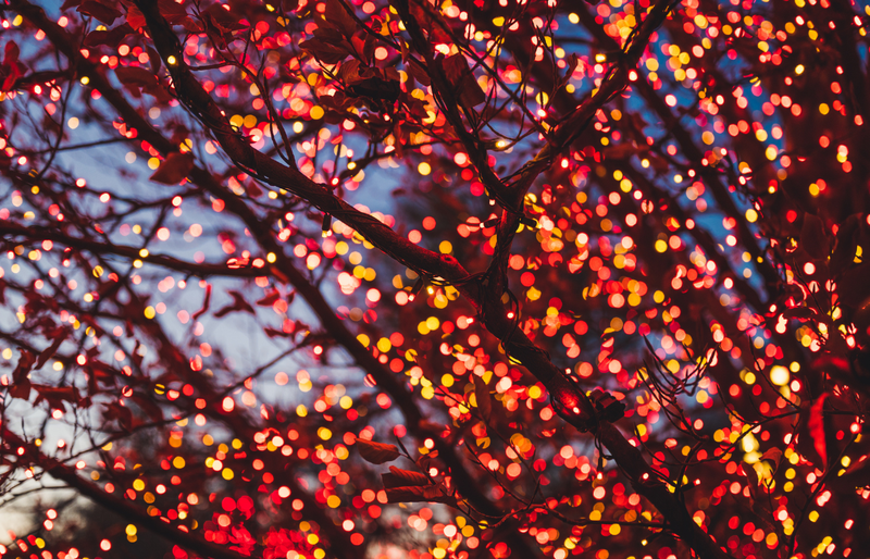 season grettings 2025